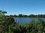 fish-coop-taree 017